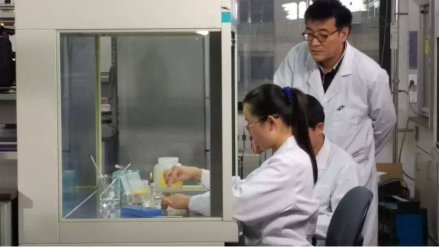 研究领域