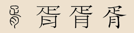 胥字演变
