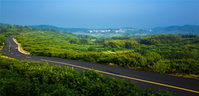 四好农路