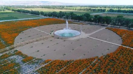 原州区