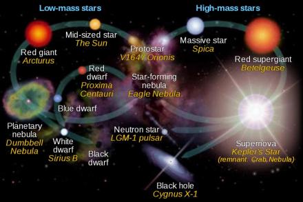 低质量恒星（左循环）和高质量恒星（右循环）的演化示意图。