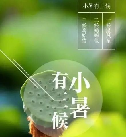 小暑三候