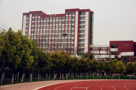 运动场