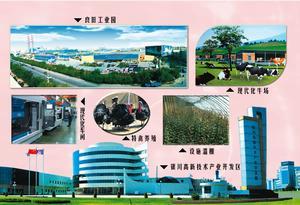 金凤区