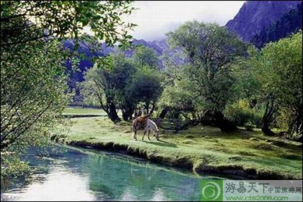 鲁山森林公园