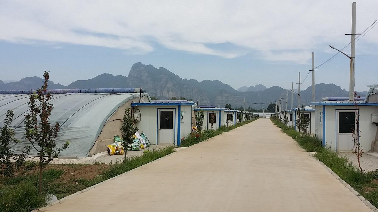 延庆镇设施农业