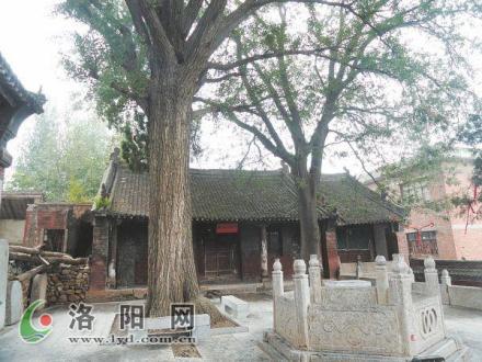千年银杏和洗心井
