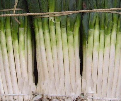 漠西大葱