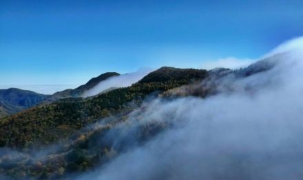 云雾山