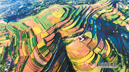 临夏州积石山县错落有致的梯田