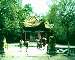 伊犁将军