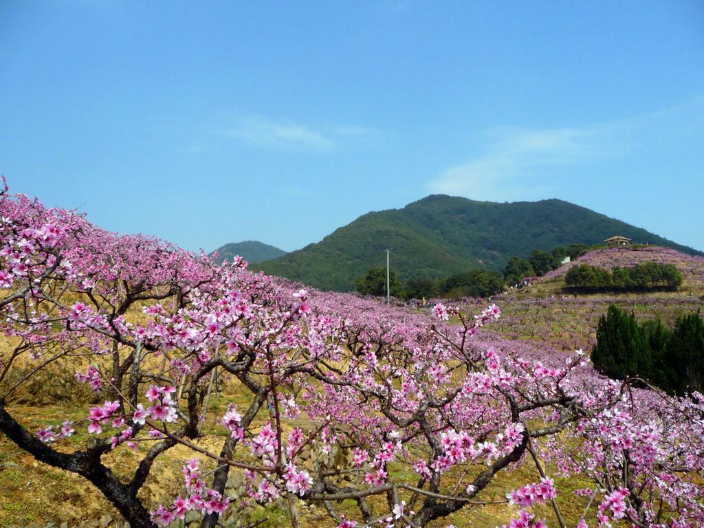 奉化地理