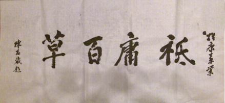 陈志岁先生为浙江维康药业有限公司题词