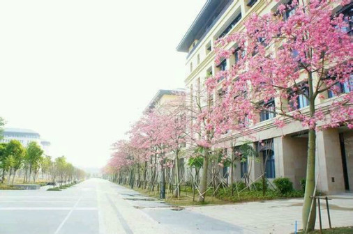 澳门大学