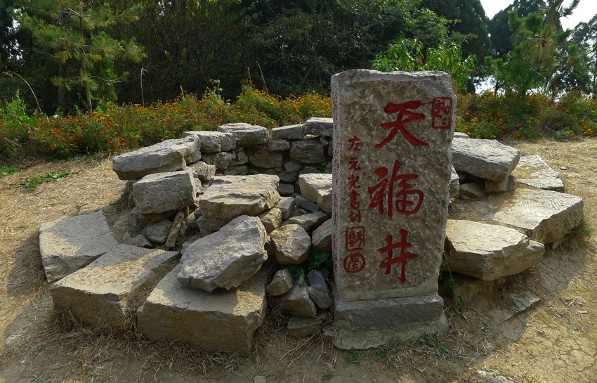 天福井