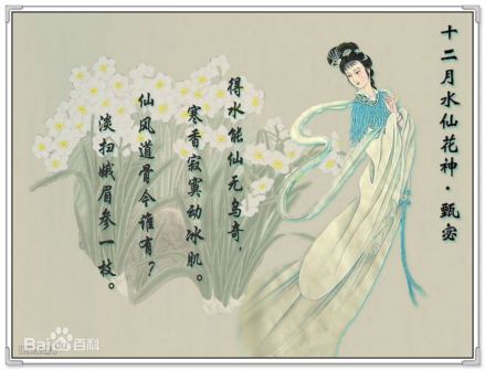 十二月水仙花神：甄宓