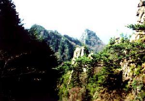 小陇山国家森林公园