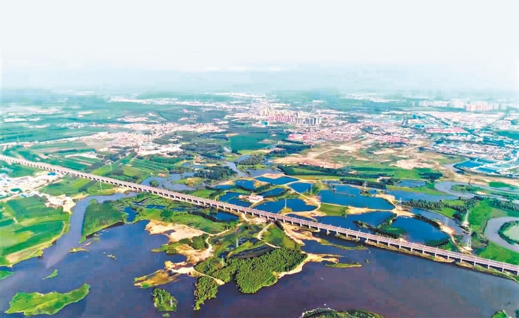 河口段