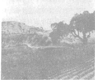 带箭岭