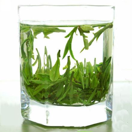 泡好的绿茶