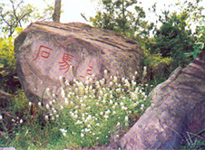 庞涓上马石