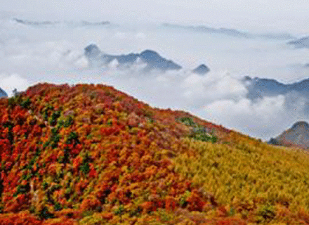 历山