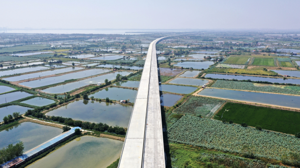 新洲交通线路
