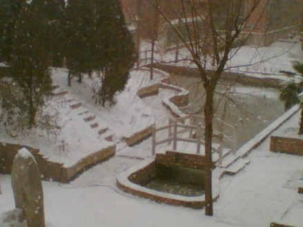求实东校雪景