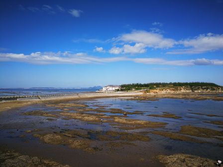 觉华岛风光