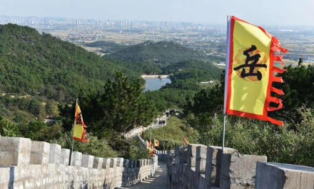 抗金城 