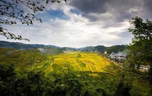 南白镇宝峰