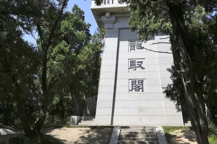 龙驭阁