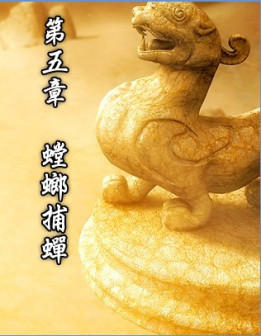 第五章 螳螂捕蝉