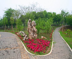 南京本土植物园