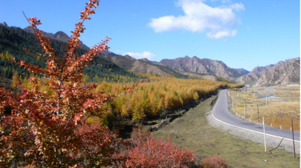 甘肃天祝三峡国家森林公园