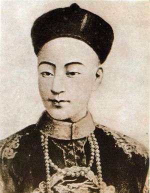 婉贞的独子——爱新觉罗·载湉