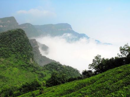 澧县屋脊 太清山