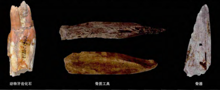 老奶奶庙遗址出土