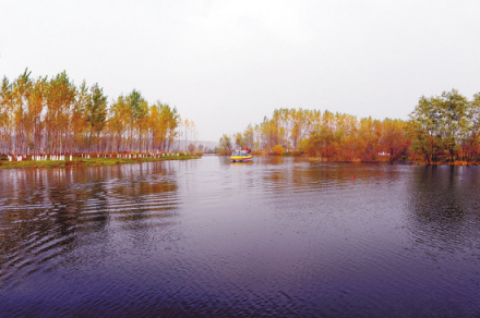 辽中区珍珠湖湿地公园