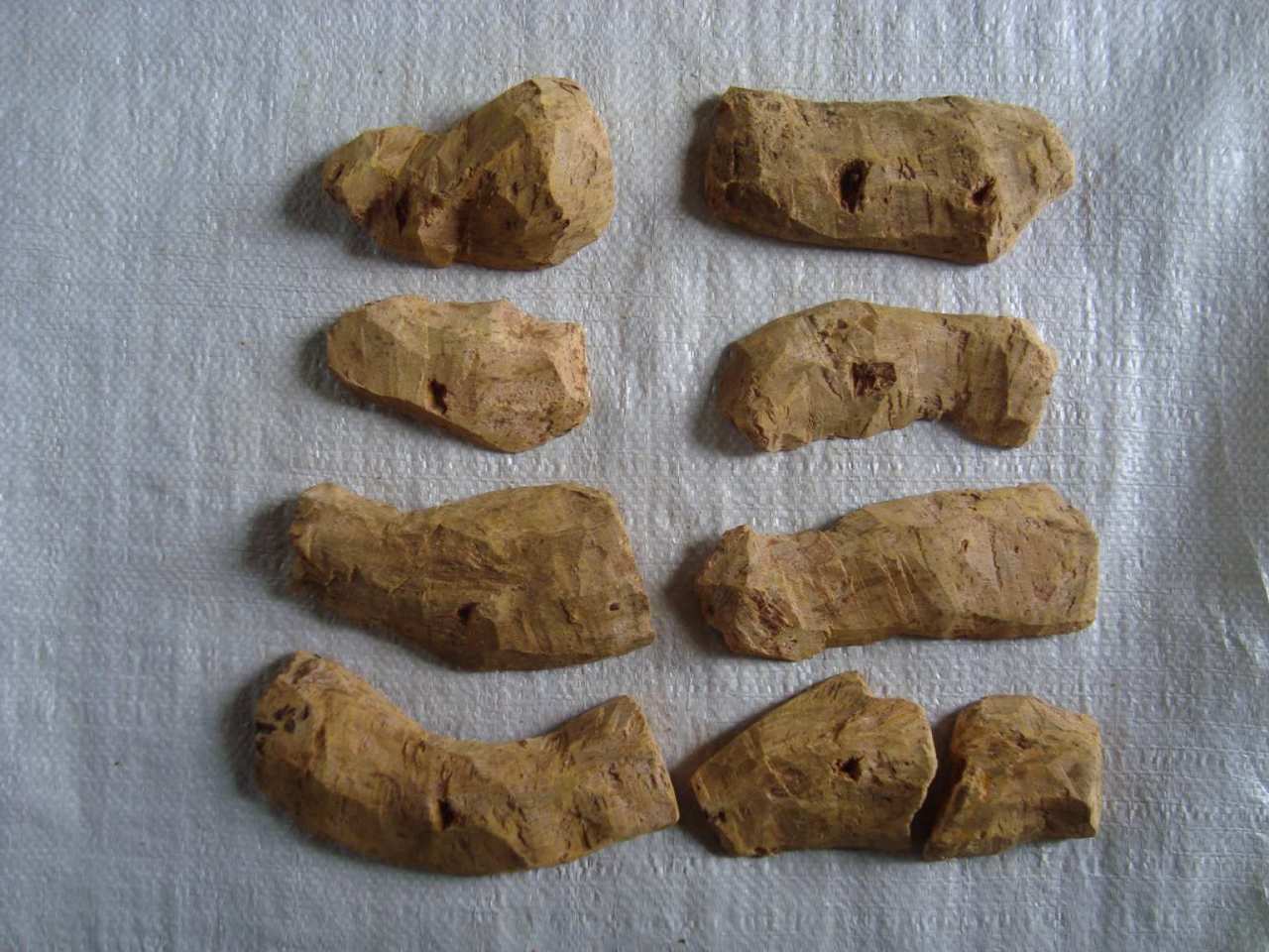 礼县大黄