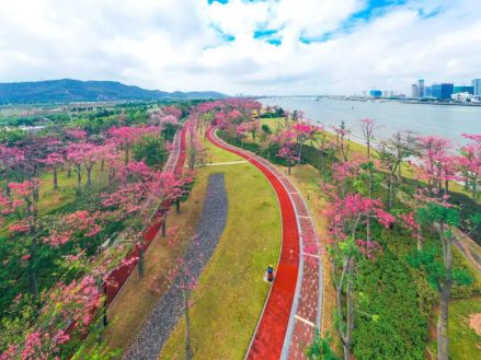 花海长廊
