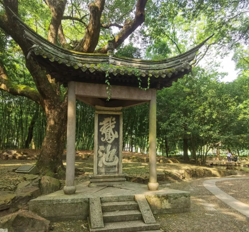 鹅池