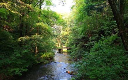 吉林吊水壶国家森林公园