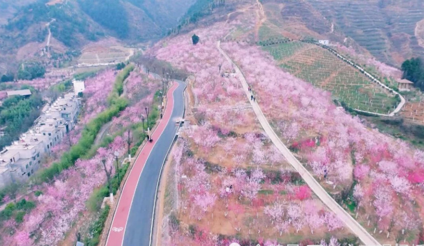 桃花谷景区