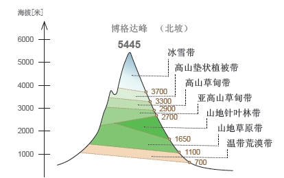天山垂直自然带谱