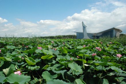 莲花湖国家湿地公园