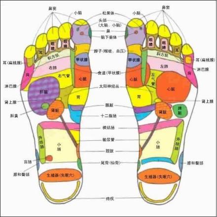 针灸足部穴位
