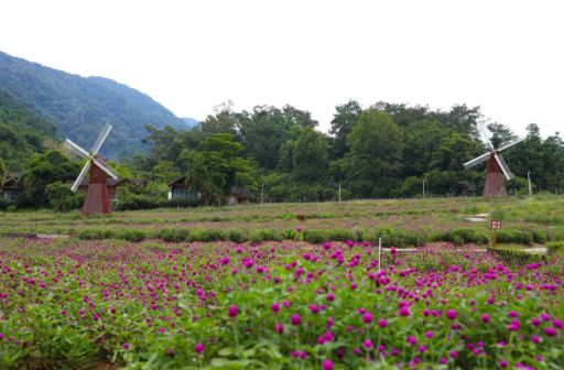 德庆盘龙峡生态旅游景区