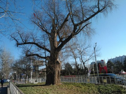 八宝山街道