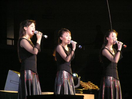 黑鸭子演唱组合演出照